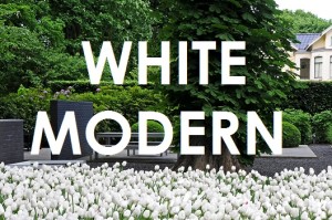 WHITE MODERN